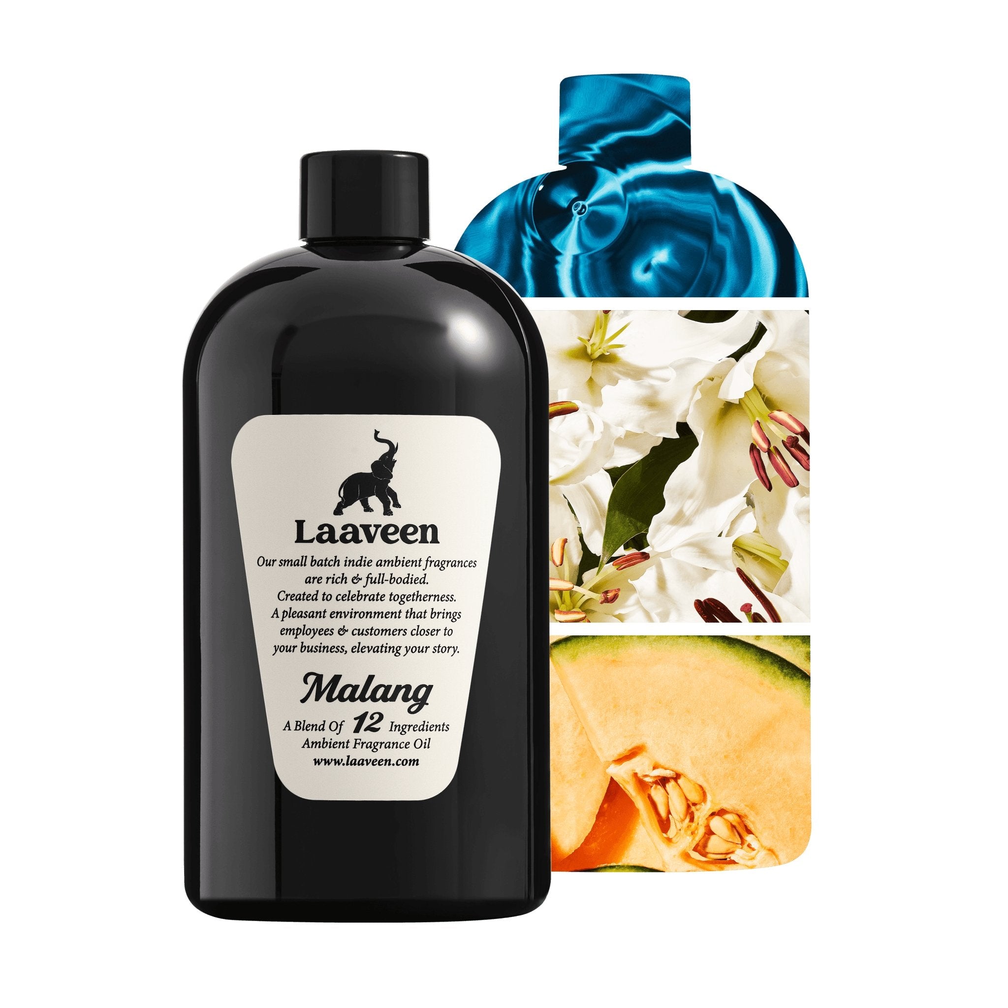 Malang - Laaveen-MALAN12FOMED