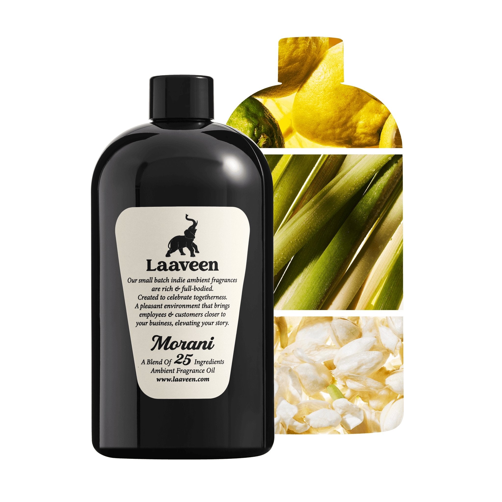 Morani - Laaveen-MORAN25FOMED