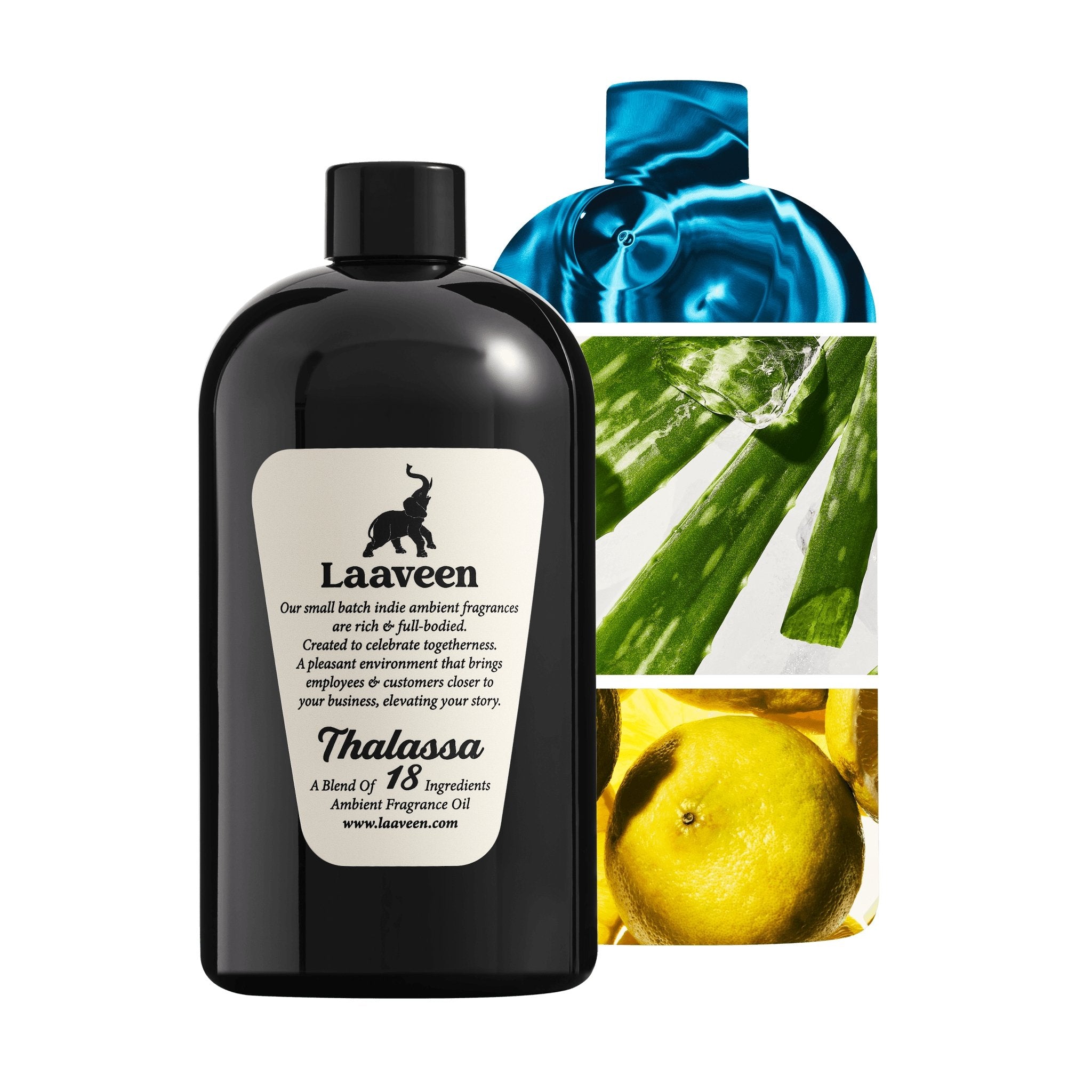 Thalassa - Laaveen-THALA18FOMED